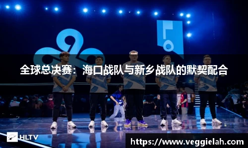 全球总决赛：海口战队与新乡战队的默契配合