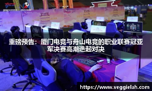 重磅预告：厦门电竞与舟山电竞的职业联赛冠亚军决赛高潮迭起对决