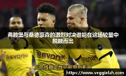 弗赖堡与桑德豪森的激烈对决谁能在这场较量中脱颖而出