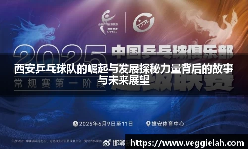 西安乒乓球队的崛起与发展探秘力量背后的故事与未来展望